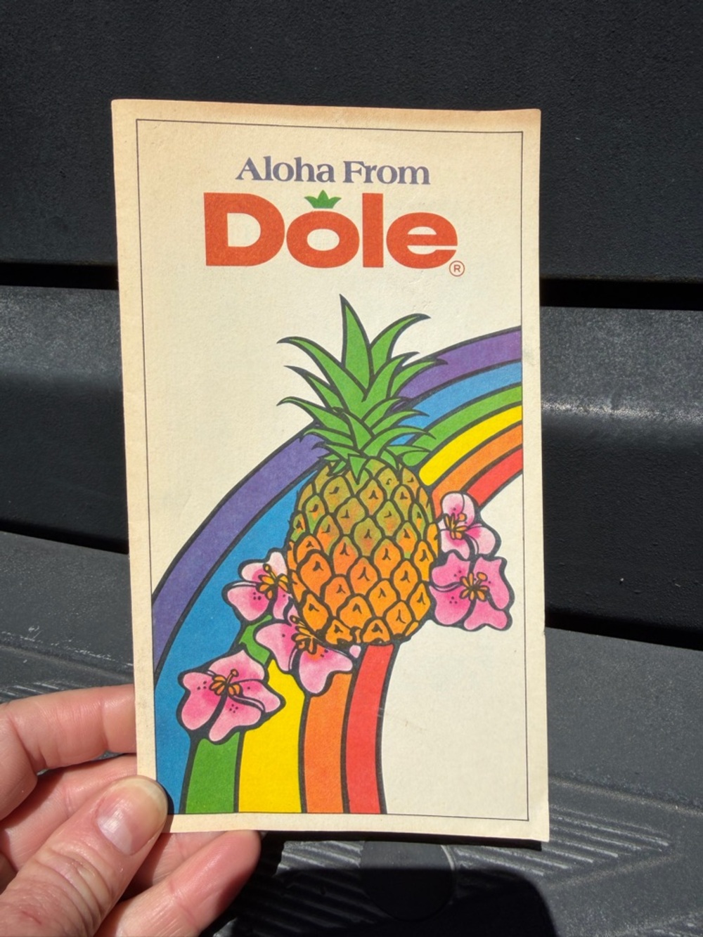 Dole Pineapple 1970s visitor brochure / recipes